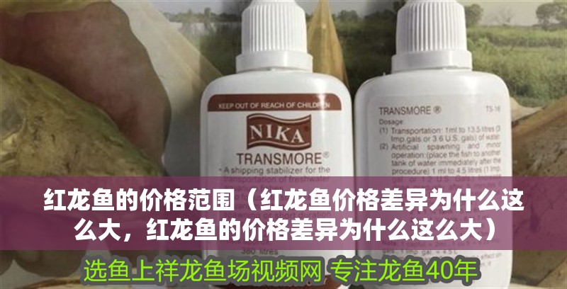 紅龍魚的價格范圍（紅龍魚價格差異為什么這么大，紅龍魚的價格差異為什么這么大） 紅龍魚的價格范圍（紅龍魚價格差異為什么這么大，紅龍魚的價格差異為什么這么大） 龍魚百科