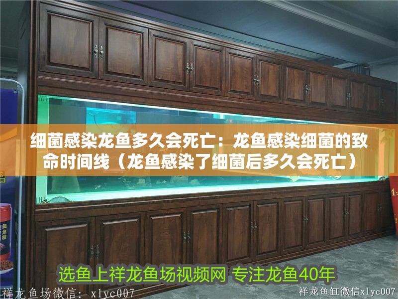 細菌感染龍魚多久會死亡：龍魚感染細菌的致命時間線（龍魚感染了細菌后多久會死亡）