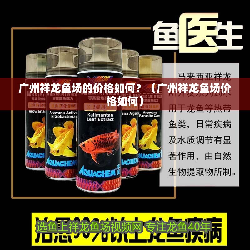 廣州祥龍魚場的價格如何？（廣州祥龍魚場價格如何）