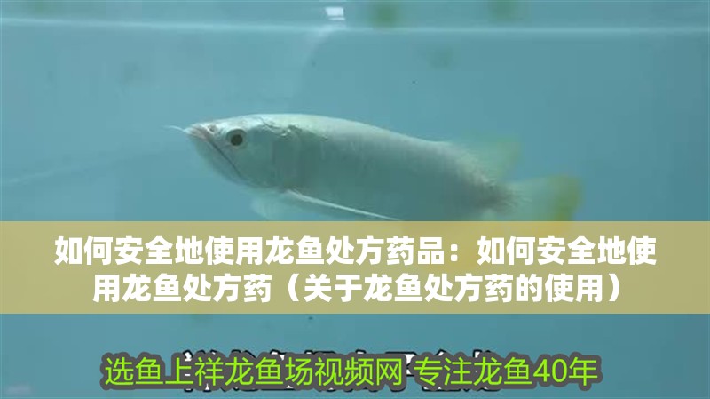 如何安全地使用龍魚處方藥品：如何安全地使用龍魚處方藥（關于龍魚處方藥的使用）