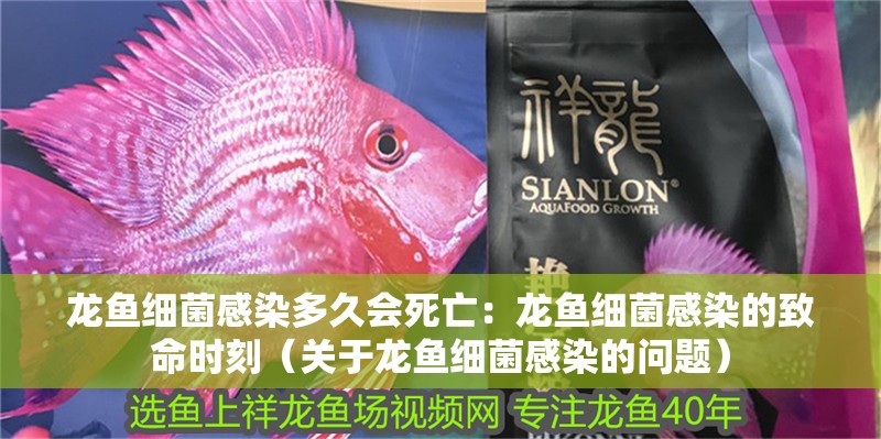 龍魚細菌感染多久會死亡：龍魚細菌感染的致命時刻（關于龍魚細菌感染的問題）
