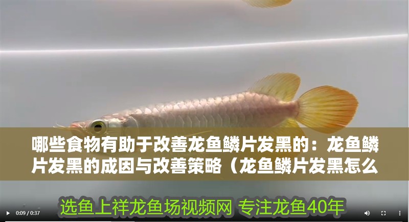 哪些食物有助于改善龍魚鱗片發黑的：龍魚鱗片發黑的成因與改善策略（龍魚鱗片發黑怎么辦）