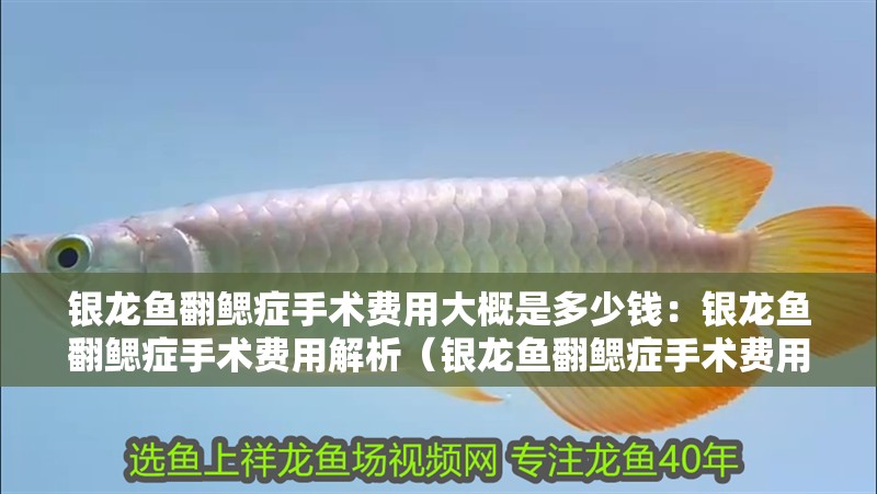 銀龍魚翻鰓癥手術(shù)費(fèi)用大概是多少錢：銀龍魚翻鰓癥手術(shù)費(fèi)用解析（銀龍魚翻鰓癥手術(shù)費(fèi)用解析）
