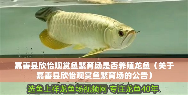 嘉善縣欣怡觀賞魚繁育場是否養殖龍魚（關于嘉善縣欣怡觀賞魚繁育場的公告）