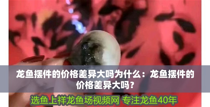 龍魚擺件的價格差異大嗎為什么：龍魚擺件的價格差異大嗎？