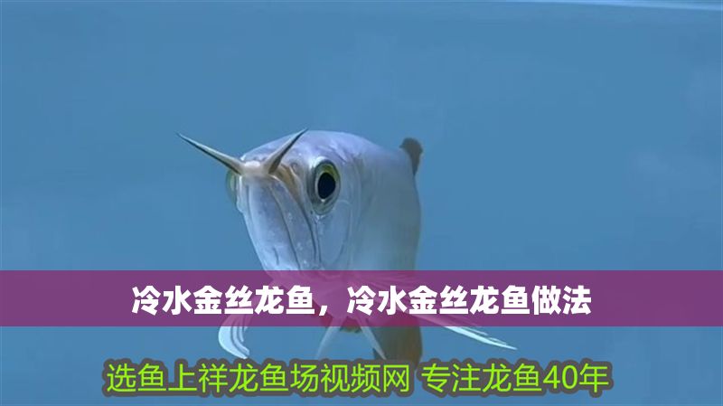 冷水金絲龍魚，冷水金絲龍魚做法