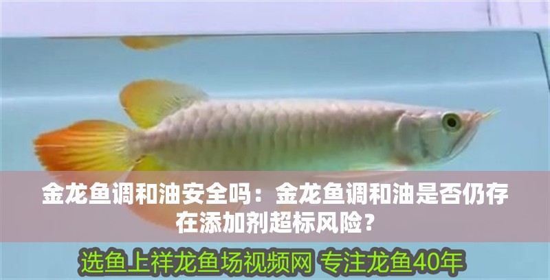 金龍魚調和油安全嗎：金龍魚調和油是否仍存在添加劑超標風險？