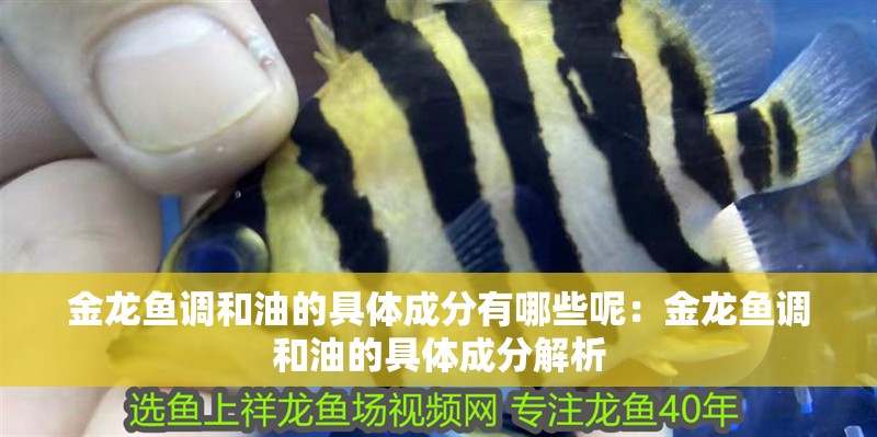 金龍魚調和油的具體成分有哪些呢：金龍魚調和油的具體成分解析