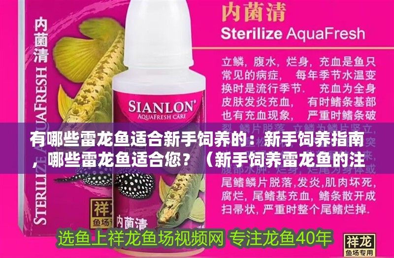 有哪些雷龍魚適合新手飼養的：新手飼養指南，哪些雷龍魚適合您？（新手飼養雷龍魚的注意事項）