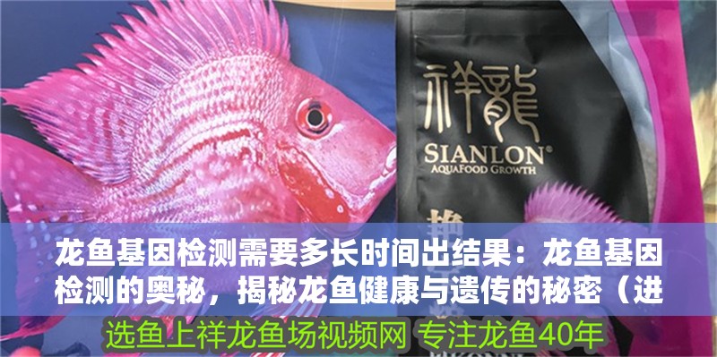 龍魚基因檢測需要多長時間出結果：龍魚基因檢測的奧秘，揭秘龍魚健康與遺傳的秘密（進行龍魚基因檢測究竟需要多長時間？）