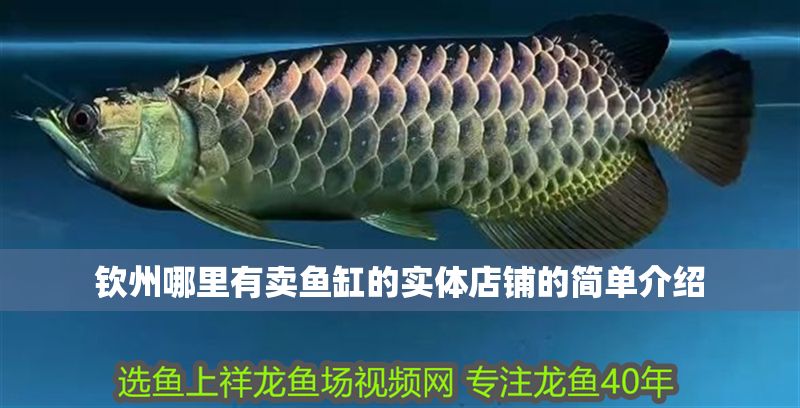 欽州哪里有賣魚缸的實體店鋪的簡單介紹