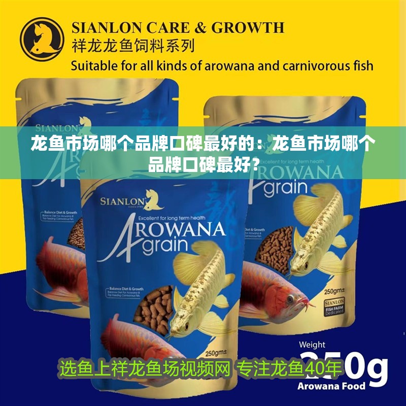 我的虎魚真菌感染了要怎么處理 龍魚市場哪個品牌口碑最好的:龍魚市場哪個品牌口碑最好? 水族問答 龍魚市場哪個品牌口碑最好的:龍魚市場哪個品牌口碑最好? 龍魚市場哪個品牌口碑最好的:龍魚市場哪個品牌口碑最好? 水族問答