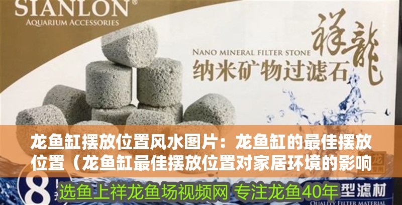 龍魚缸擺放位置風水圖片：龍魚缸的最佳擺放位置（龍魚缸最佳擺放位置對家居環境的影響不容忽視）