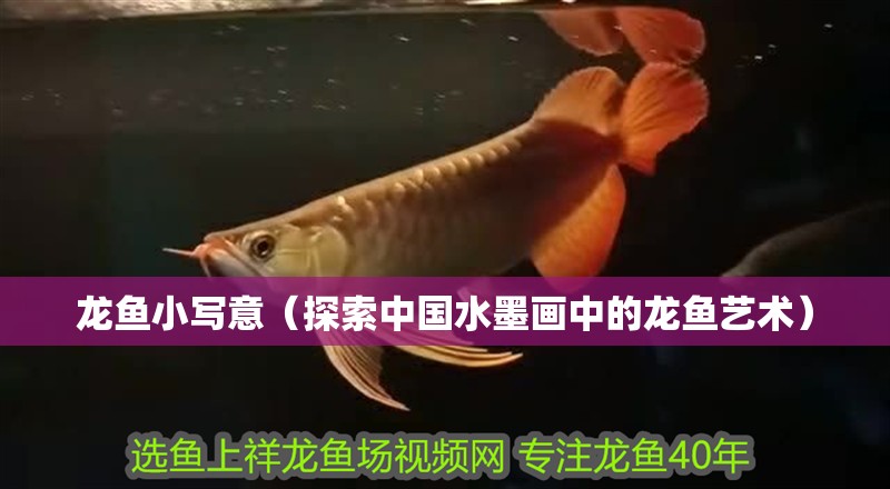 龍魚小寫意（探索中國水墨畫中的龍魚藝術） 龍魚小寫意（探索中國水墨畫中的龍魚藝術） 龍魚論壇