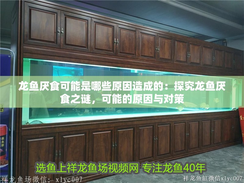 龍魚厭食可能是哪些原因造成的：探究龍魚厭食之謎，可能的原因與對策