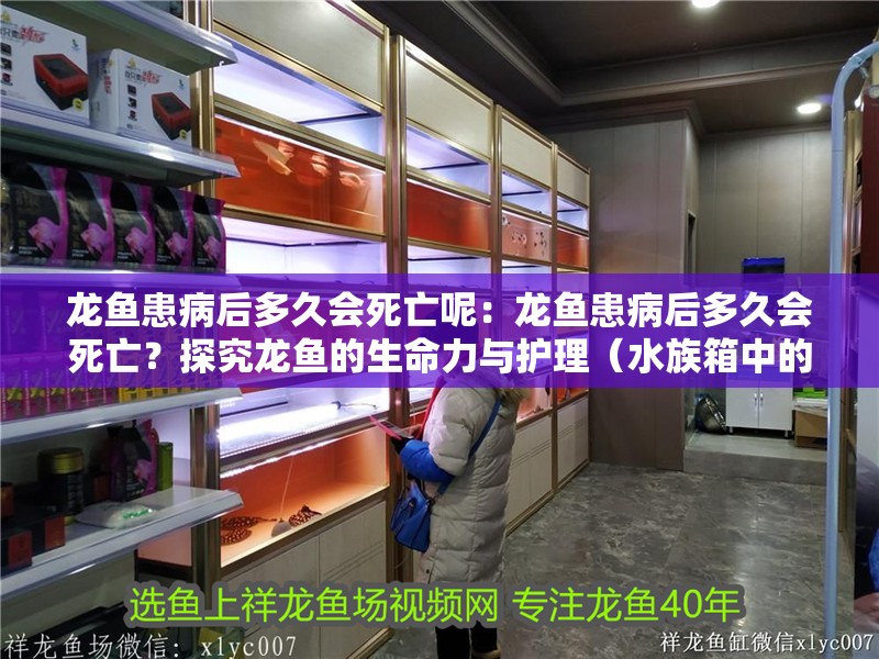 龍魚患病后多久會死亡呢：龍魚患病后多久會死亡？探究龍魚的生命力與護理（水族箱中的明星成員——龍魚）