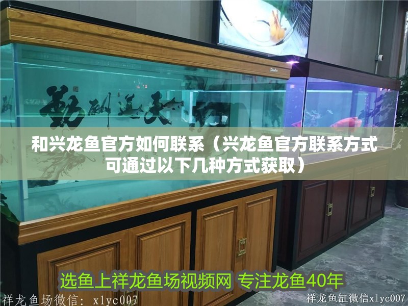 和興龍魚官方如何聯(lián)系（興龍魚官方聯(lián)系方式可通過以下幾種方式獲取）