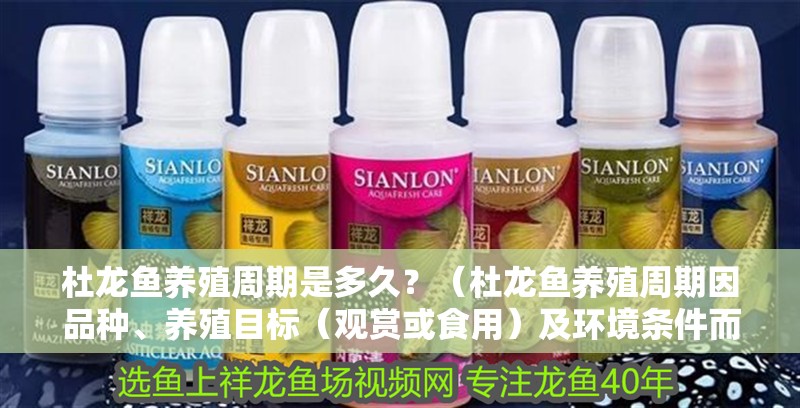 杜龍魚養殖周期是多久？（杜龍魚養殖周期因品種、養殖目標（觀賞或食用）及環境條件而異）