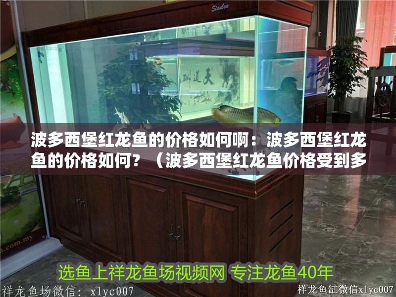 波多西堡紅龍魚的價格如何啊：波多西堡紅龍魚的價格如何？（波多西堡紅龍魚價格受到多種因素影響波多西堡紅龍魚的價格影響）