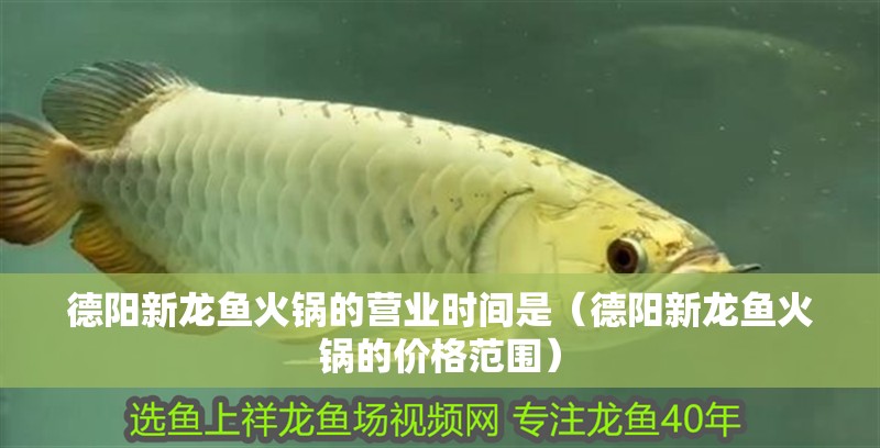 德陽新龍魚火鍋的營業(yè)時(shí)間是（德陽新龍魚火鍋的價(jià)格范圍）