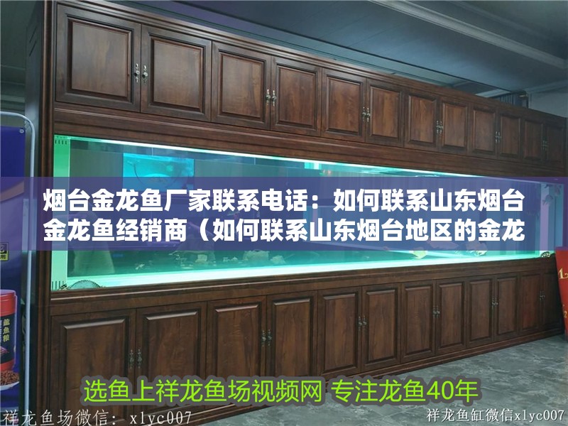 魚缸用增氧泵價格是多少:魚缸增氧機-xtrac增氧機-xtrac增氧機 煙臺金龍魚廠家聯系電話:如何聯系山東煙臺金龍魚經銷商(如何聯系山東煙臺地區的金龍魚經銷商) 水族問答 煙臺金龍魚廠家聯系電話:如何聯系山東煙臺金龍魚經銷商(如何聯系山東煙臺地區的金龍魚經銷商) 煙臺金龍魚廠家聯系電話:如何聯系山東煙臺金龍魚經銷商(如何聯系山東煙臺地區的金龍魚經銷商) 水族問答