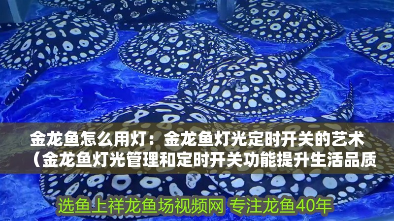 金龍魚怎么用燈：金龍魚燈光定時開關(guān)的藝術(shù)（金龍魚燈光管理和定時開關(guān)功能提升生活品質(zhì)的重要性）