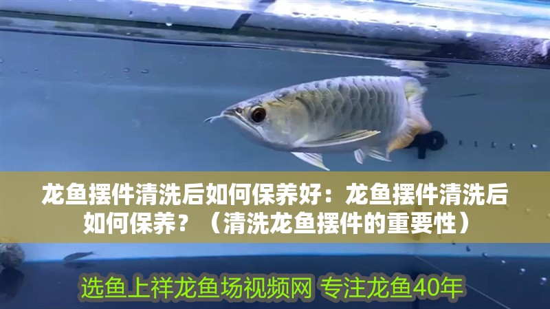 龍魚擺件清洗后如何保養好：龍魚擺件清洗后如何保養？（清洗龍魚擺件的重要性）