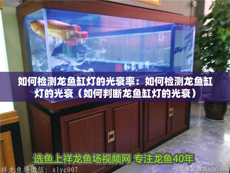 如何檢測(cè)龍魚缸燈的光衰率：如何檢測(cè)龍魚缸燈的光衰（如何判斷龍魚缸燈的光衰）