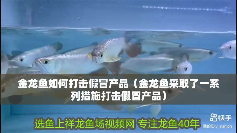 金龍魚如何打擊假冒產品（金龍魚采取了一系列措施打擊假冒產品） 金龍魚如何打擊假冒產品（金龍魚采取了一系列措施打擊假冒產品） 龍魚百科