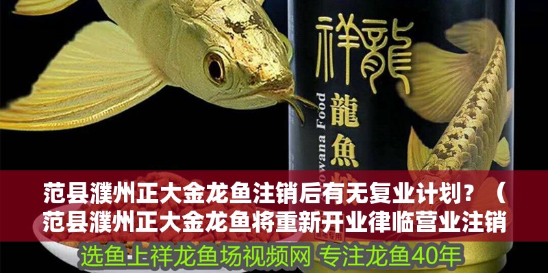 范縣濮州正大金龍魚注銷后有無復業計劃？（范縣濮州正大金龍魚將重新開業律臨營業注銷還能恢復嗎）