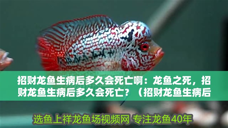 招財龍魚生病后多久會死亡?。糊堲~之死，招財龍魚生病后多久會死亡？（招財龍魚生病后多久會死亡）