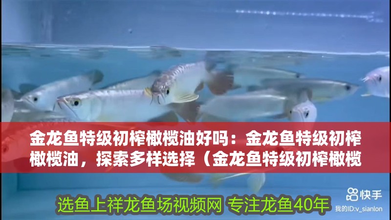 金龍魚特級初榨橄欖油好嗎：金龍魚特級初榨橄欖油，探索多樣選擇（金龍魚特級初榨橄欖油） 金龍魚特級初榨橄欖油好嗎：金龍魚特級初榨橄欖油，探索多樣選擇（金龍魚特級初榨橄欖油） 水族問答