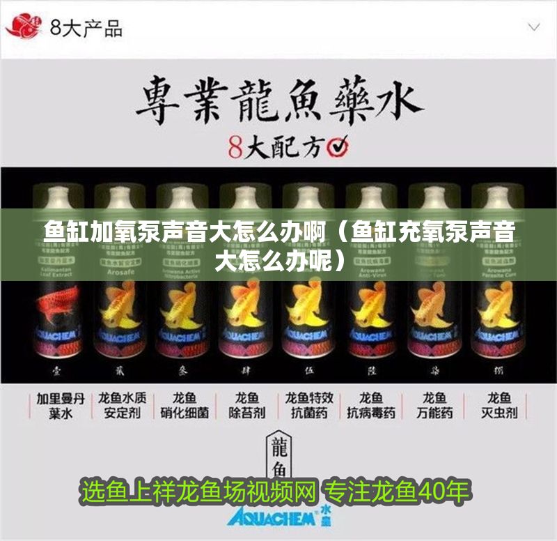 魚缸加氧泵聲音大怎么辦?。~缸充氧泵聲音大怎么辦呢）
