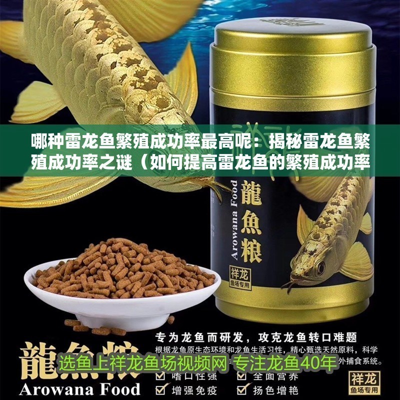 哪種雷龍魚繁殖成功率最高呢：揭秘雷龍魚繁殖成功率之謎（如何提高雷龍魚的繁殖成功率）