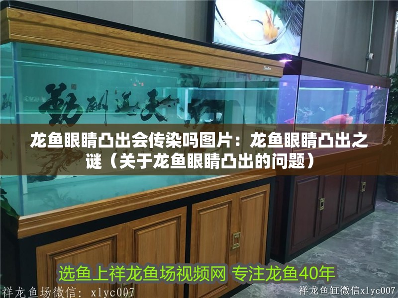 龍魚眼睛凸出會傳染嗎圖片：龍魚眼睛凸出之謎（關于龍魚眼睛凸出的問題）