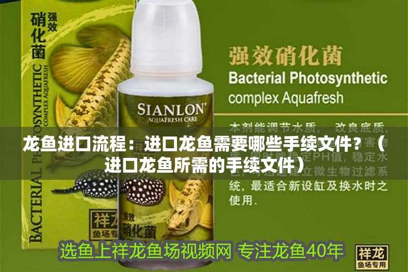 龍魚進口流程：進口龍魚需要哪些手續文件？（進口龍魚所需的手續文件）