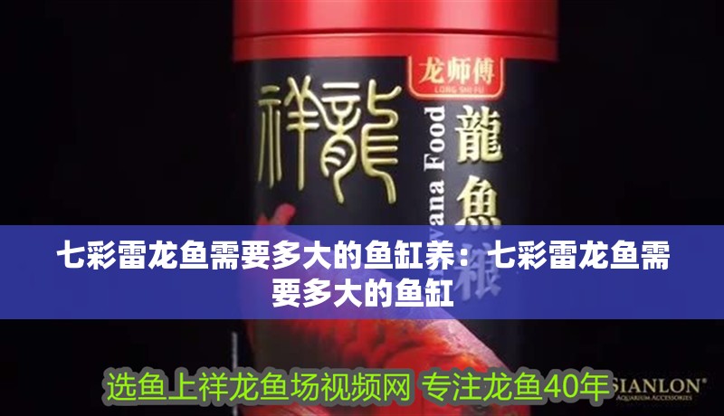 七彩雷龍魚需要多大的魚缸養：七彩雷龍魚需要多大的魚缸