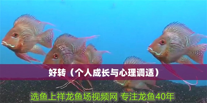 好轉（個人成長與心理調適）