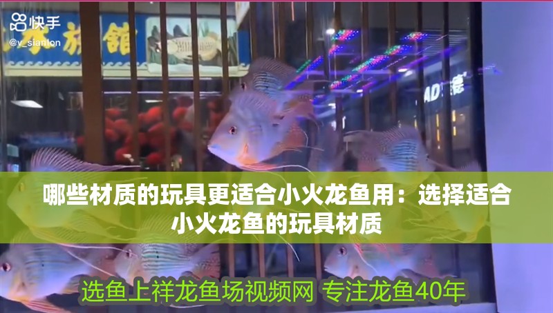 哪些材質的玩具更適合小火龍魚用：選擇適合小火龍魚的玩具材質