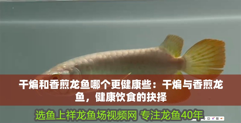 干煸和香煎龍魚哪個更健康些：干煸與香煎龍魚，健康飲食的抉擇