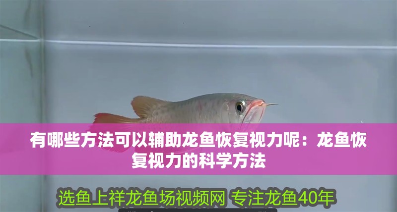 有哪些方法可以輔助龍魚(yú)恢復(fù)視力呢：龍魚(yú)恢復(fù)視力的科學(xué)方法