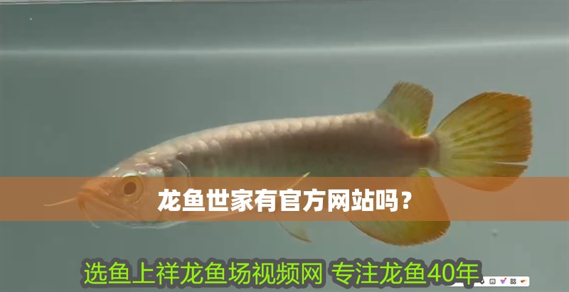 龍魚世家有官方網站嗎？ 龍魚世家有官方網站嗎？ 龍魚百科
