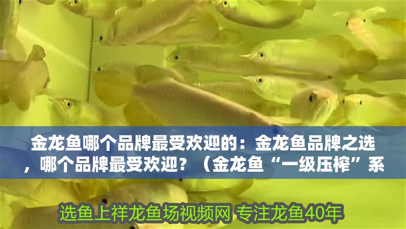 金龍魚哪個品牌最受歡迎的：金龍魚品牌之選，哪個品牌最受歡迎？（金龍魚“一級壓榨”系列產品成為市場上最受歡迎的品牌）