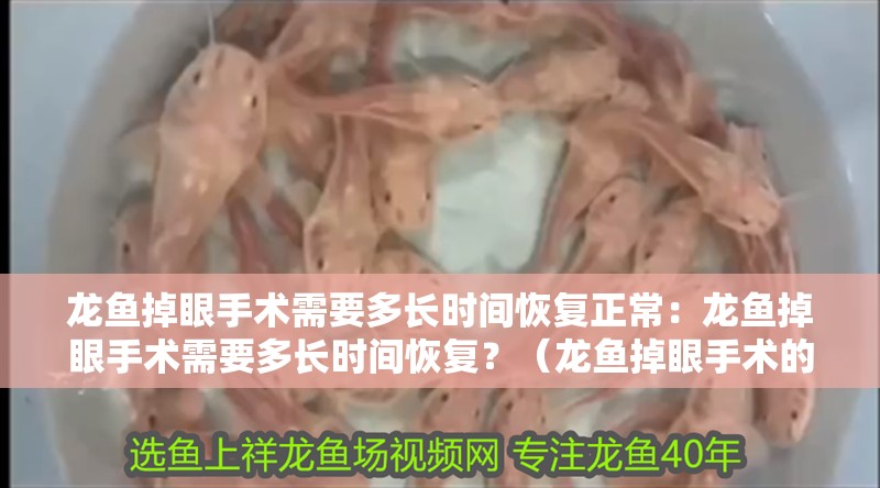 龍魚掉眼手術需要多長時間恢復正常：龍魚掉眼手術需要多長時間恢復？（龍魚掉眼手術的恢復時間）