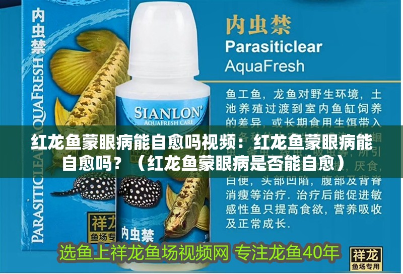 紅龍魚蒙眼病能自愈嗎視頻：紅龍魚蒙眼病能自愈嗎？（紅龍魚蒙眼病是否能自愈）