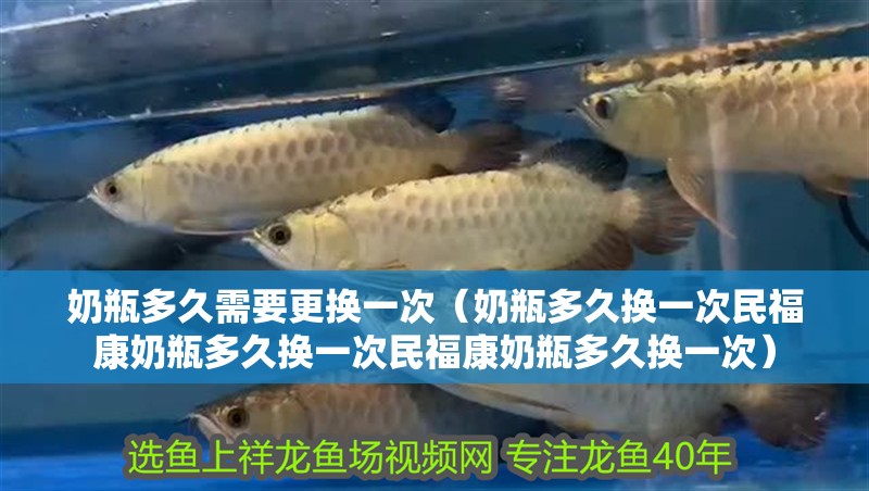 奶瓶多久需要更換一次（奶瓶多久換一次民福康奶瓶多久換一次民?？的唐慷嗑脫Q一次）