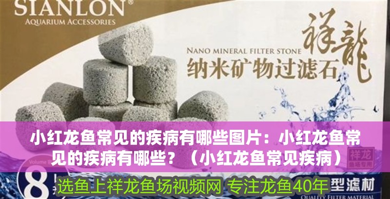 小紅龍魚常見的疾病有哪些圖片：小紅龍魚常見的疾病有哪些？（小紅龍魚常見疾?。? title=