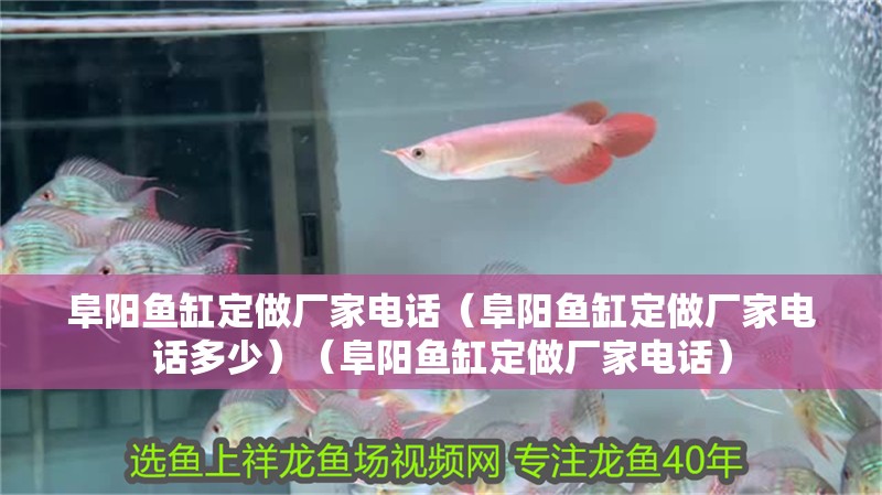 阜陽魚缸定做廠家電話（阜陽魚缸定做廠家電話多少）（阜陽魚缸定做廠家電話）