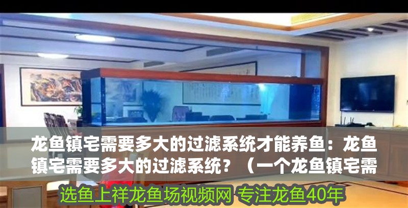 龍魚鎮宅需要多大的過濾系統才能養魚：龍魚鎮宅需要多大的過濾系統？（一個龍魚鎮宅需要多大的過濾系統？）