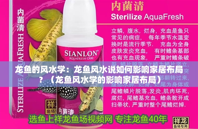 龍魚的風水學：龍魚風水說如何影響家居布局？（龍魚風水學的影響家居布局）